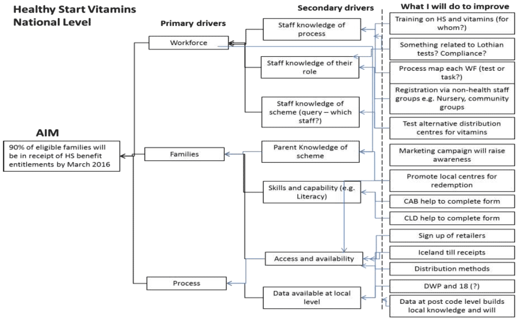 Healthy Start Vitamins Driver Diagram