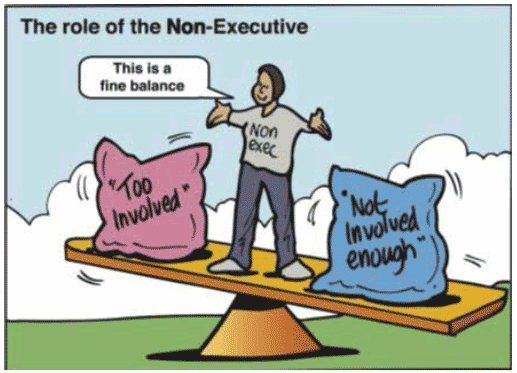 The role of a Non-Executive