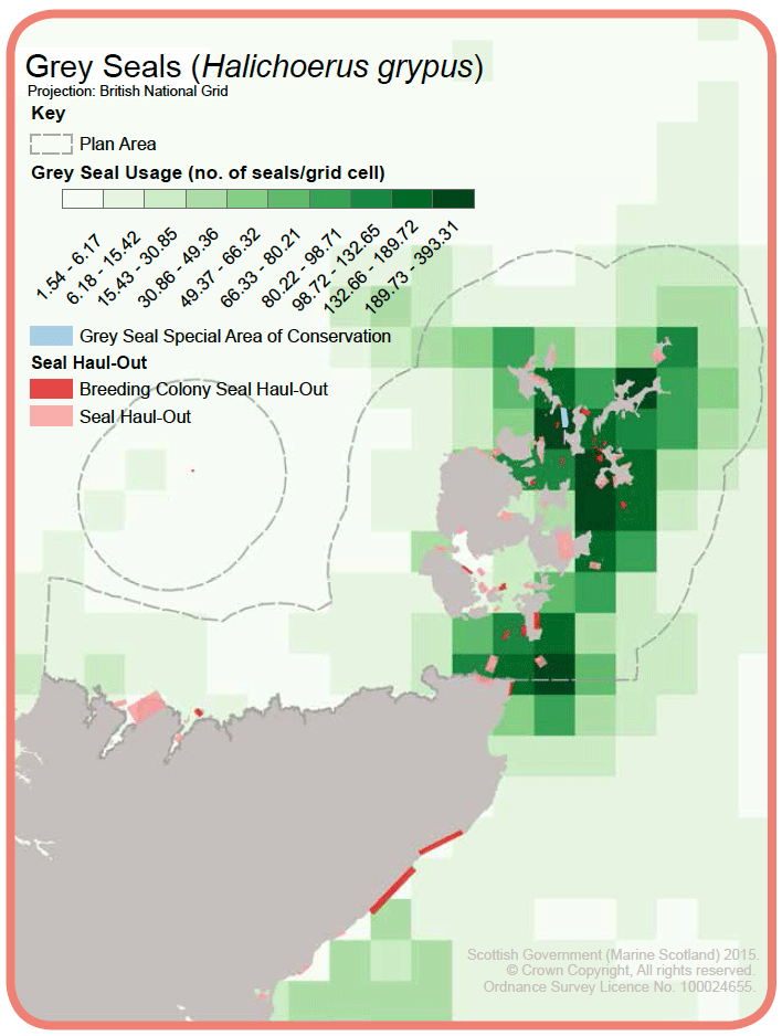 Map 4: Grey seal ‘usage’ and haul-out sites. Grey seal ‘usage’ has been calculated by scaling the patterns recorded by electronically-tagged seals to the population level. Population levels have been calculated by aerial survey at seal haul-out sites. Data calculated by the Sea Mammal Research Unit.