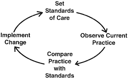 Figure 1: The Audit Cycle