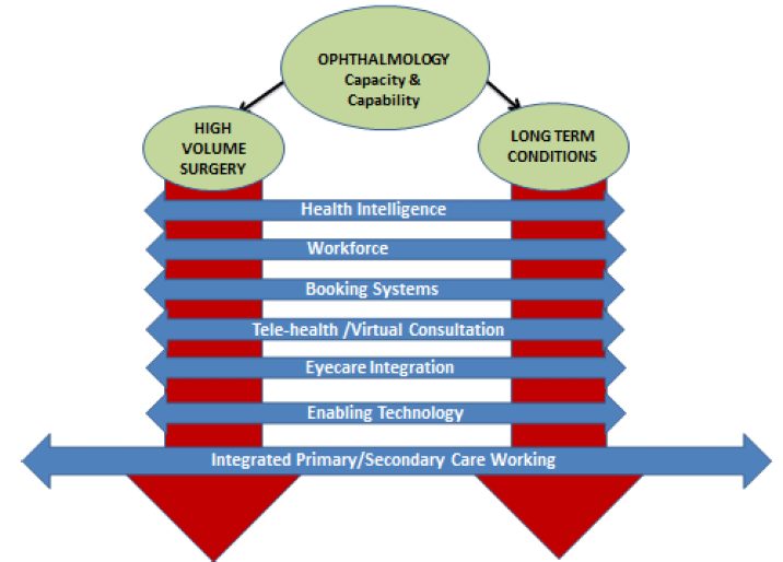 Figure 8: Potential Core Elements of the NEW programme