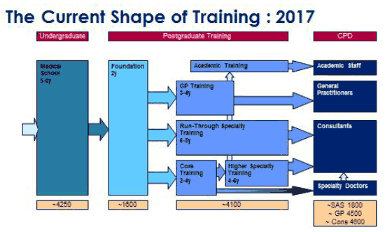 The current shape of training: 2017