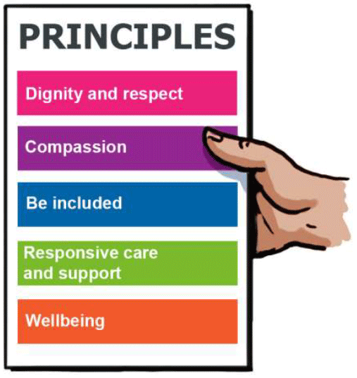 Health and social care standards: my support, my life easy read ...