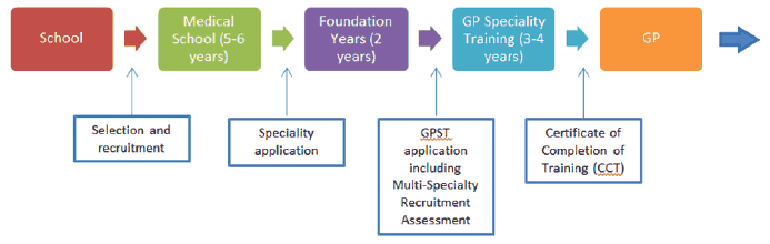 Figure 15: Medical education and training pipeline