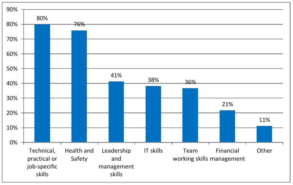 Figure 6: Types of training for managers (%)