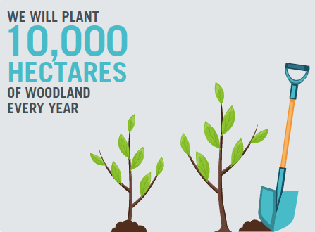 We will plant 10,000 Hectares Of woodland Every year