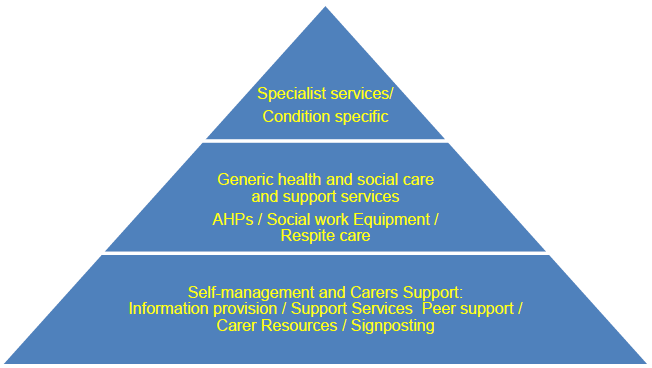 Figure 1: Pyramid of support