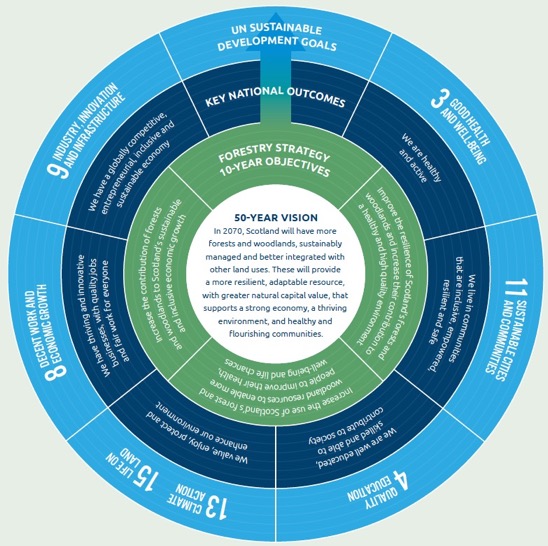 The linkages between our vision and objectives for forestry, key Scottish Government National Outcomes, and the associated UN Sustainable Development Goals