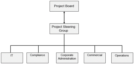 Figure 11 - Proposed Governance structure