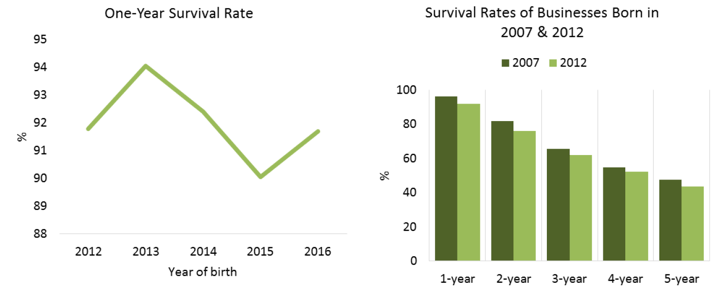 Fig 4.9: Survival rates of new businesses