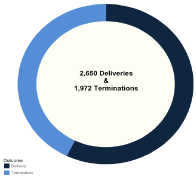 Figure 2: Teenage pregnancies by outcome, 2016