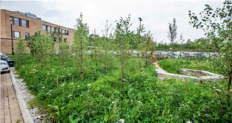 Image 2.4. Multi-functional greenspace at Eastwood Health and Community Care Centre (© Anne Lumb, Green Exercise Partnership)