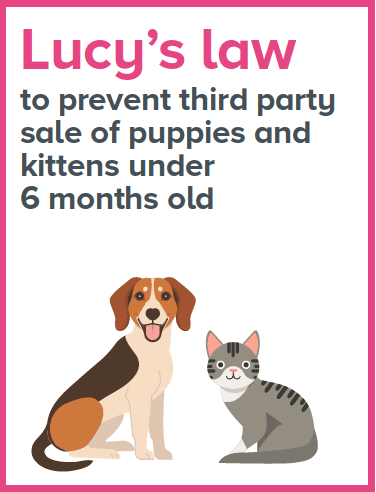 Lucy's law to prevent third party sale of puppies and kittens under 6 months old