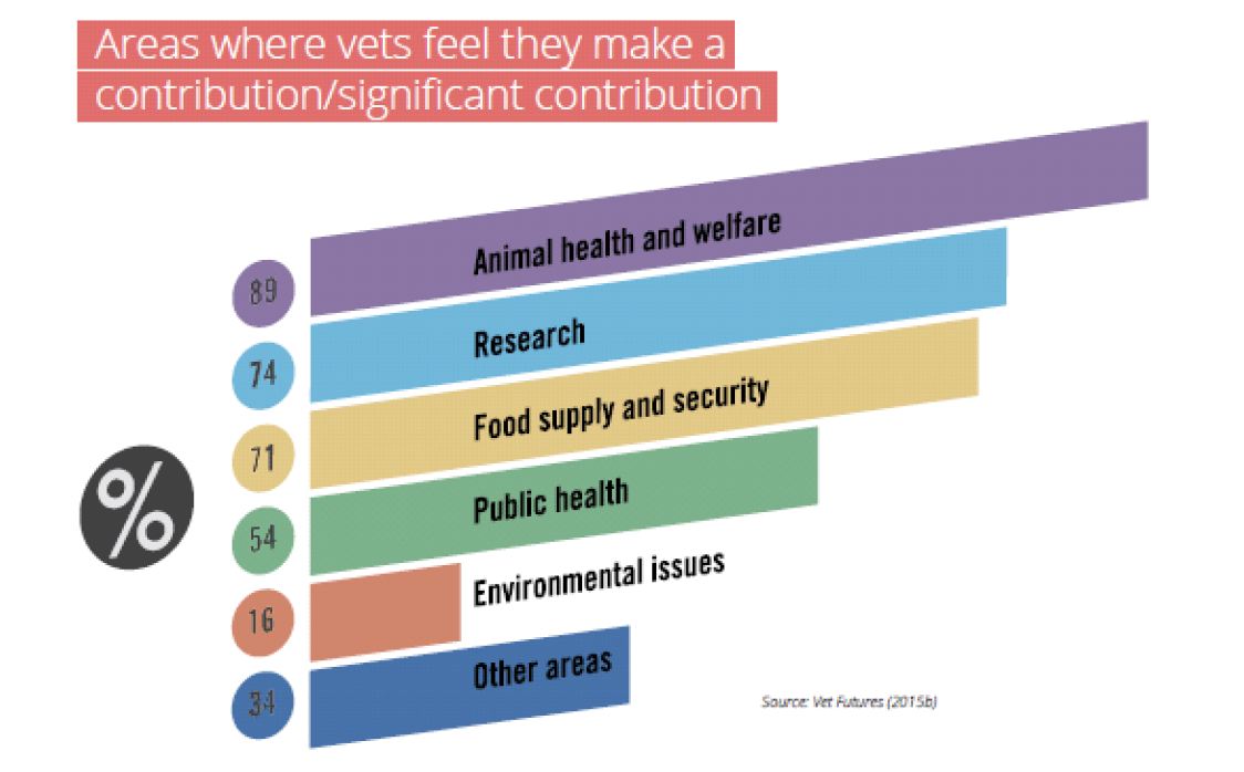 Figure 8 Areas of vets' contribution to the society (Vet Future Report 2015)