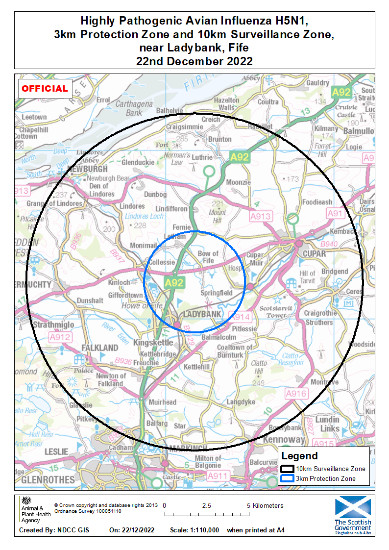 A 3 km Protection Zone and 10 km Surveillance Zone for highly pathogenic avian influenza H5N1 near Ladybank, Fife.
