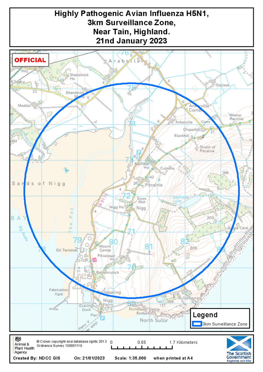 Avian influenza - Surveillance Zone - near Tain - Highland