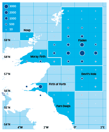 Distribution of Scottish Nephrops landings (tonnes) in the North Sea in 2010 (UK vessels into Scotland