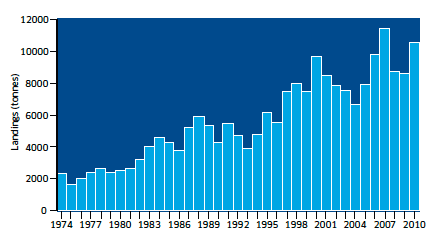 Landings (tonnes) of brown crab into scotland by Scottish vessels, 1974 to 2010.