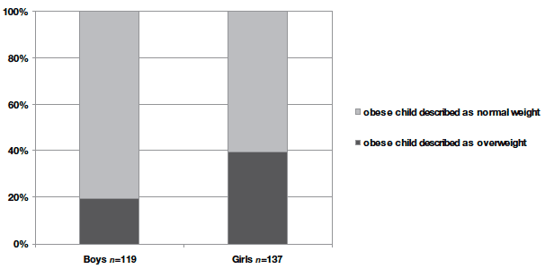 Figure 5.3 Mother's description of overweight or obese children at age 6 according to child's gender, n=256 (b)