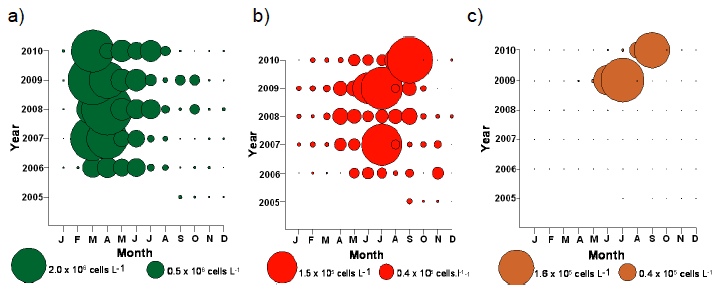 Figure 3.6 Monthly averaged cell densities from 2005-2010 at Millport of a) diatoms; b) dinoflagellates and c) Karenia mikimotoi. Note data has been root-square transformed.