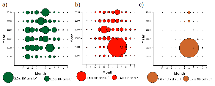 Figure 3.8 Monthly averaged cell densities from 2005-2010 at Scapa Flow of a) diatoms; b) dinoflagellates and c) Karenia mikimotoi. Note data has been root-square transformed.