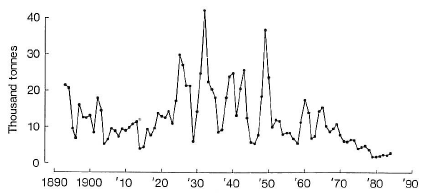 Figure 6.2 Herring landings in the Firth of Clyde (1000 tonnes) 1890-1984 (Source, Bailey et al., 1986).