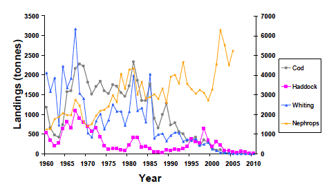 Figure 6.4 Landings from 1960-2010 for cod, haddock, whiting and Nephrops in the Clyde (ICES Stat Rectangles 39E4 + 39E5 + 40E4 + 40E5. Source, MSS).