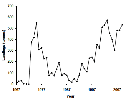Figure 6.11 Landings of scallops in the Clyde from 1967-2010 (Source, MSS).