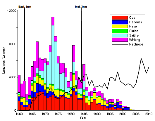Figure 7.1 Summary of landings (tonnes) of six demersal fish species from the Clyde Sea (ICES Stat Rectangles 39E4 + 39E5 + 40E4 + 40E5. Source, MSS). Years when the Clyde opened to trawling, excluding the area within 3 nm from the coast (1962), and including within 3 nm (1984) are highlighted. Landings of Nephrops are also shown (black line).