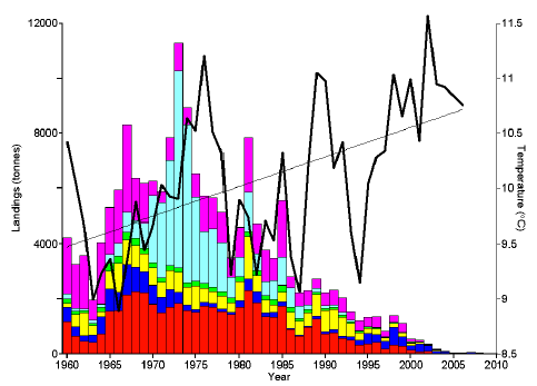 Figure 7.2 Summary of landings (tonnes) of six demersal fish species from the Clyde Sea (ICES Stat Rectangles 39E4 + 39E5 + 40E4 + 40E5. Source, MSS) compared to annual average temperature at Millport, Cumbrae (thick black line. Linear regression - thin black line).
