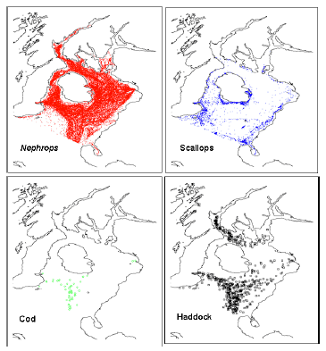 Figure 9.9 Raw 2010 VMS pings associated with landings of a) Nephrops, b) scallops, c) cod and d) haddock.