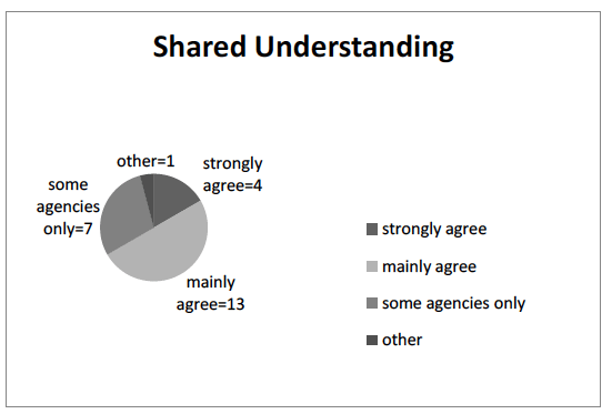 Figure 1 Shared Understanding