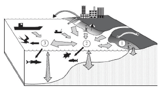 Figure 2‑1 The sources, pathways and sinks for marine litter