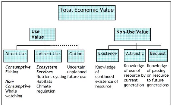Figure 3‑3 Total Economic Value Framework