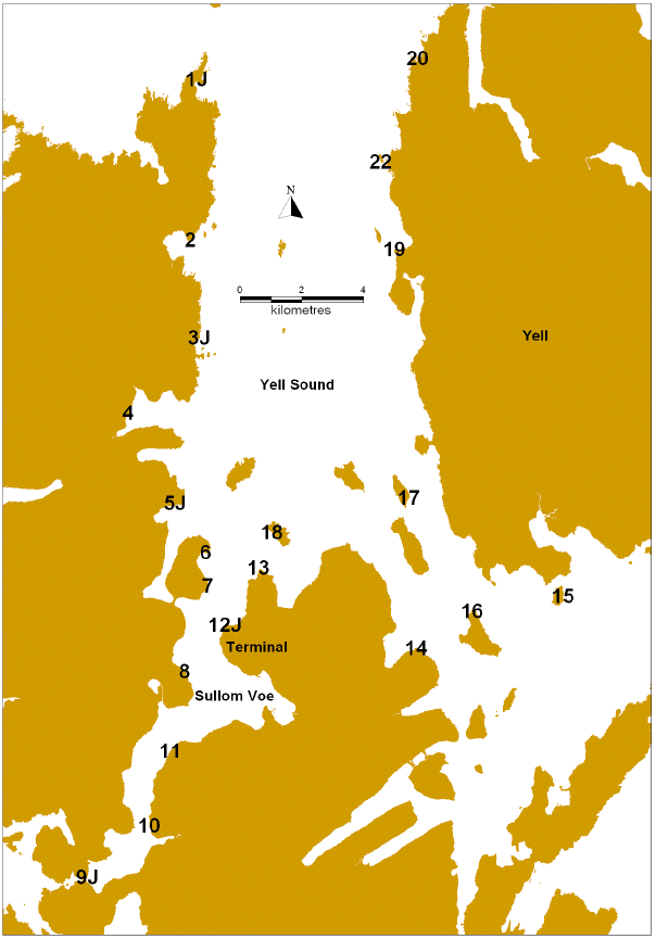 Figure 1: Dogwhelk sampling sites in Sullom Voe and Yell Sound.