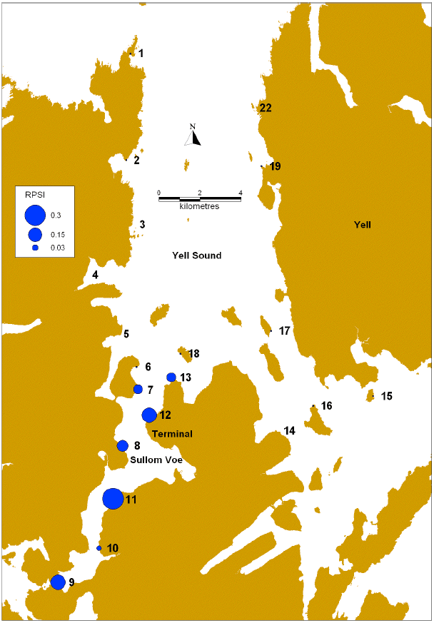 Figure 2: RPSI in toothed adult dogwhelks (Nucella lapillus) from populations in Sullom Voe and Yell Sound sampled during the 2011 survey.