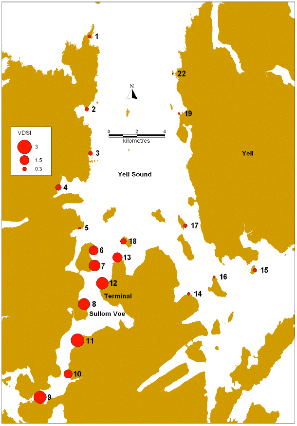 Figure 3: VDSI in toothed adult dogwhelks (Nucella lapillus) from populations in Sullom Voe and Yell Sound sampled during the 2011 survey.