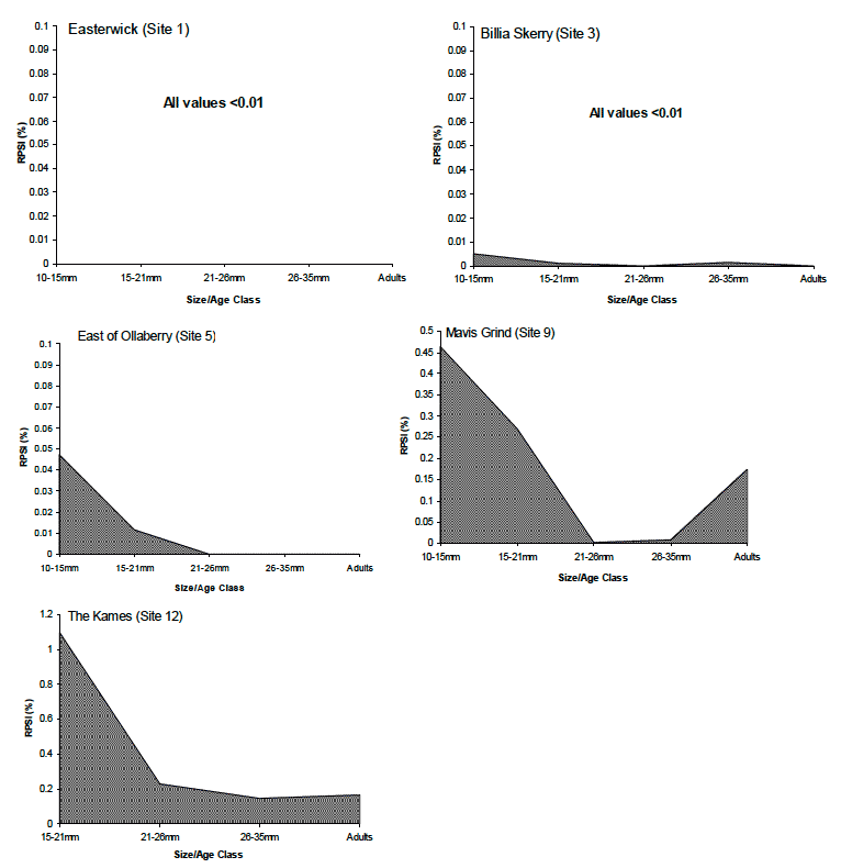 Figure 4: Relative penis size (RPSI) values for all the size/age classes of dogwhelks in the juvenile, sub-adult and untoothed adult survey 2011.