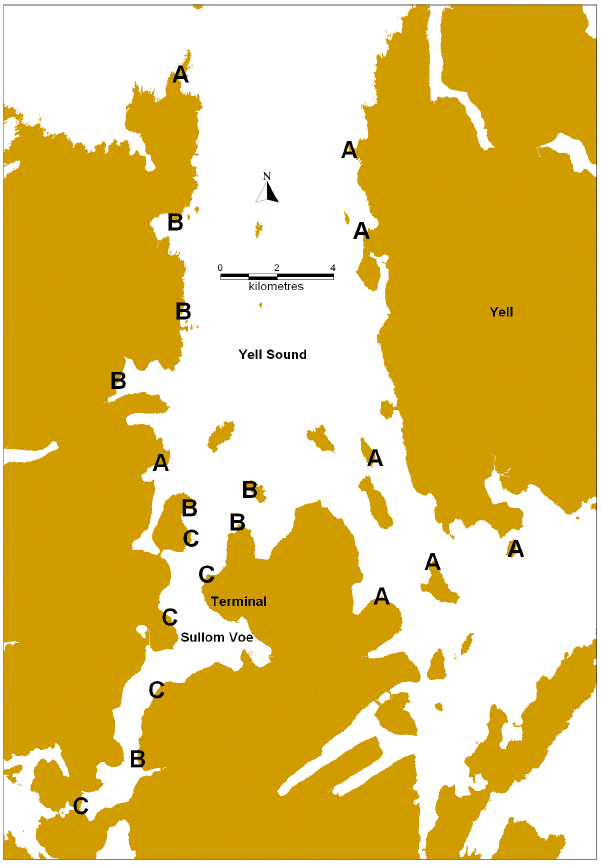 Figure 11: Assessment of VDSI data from adult dogwhelks (Nucella lapillus) sampled from sites around Sullom Voe and Yell Sound in 2011.