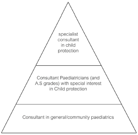 Figure 1: Levels of competence and types of paediatricians working in child protection. 