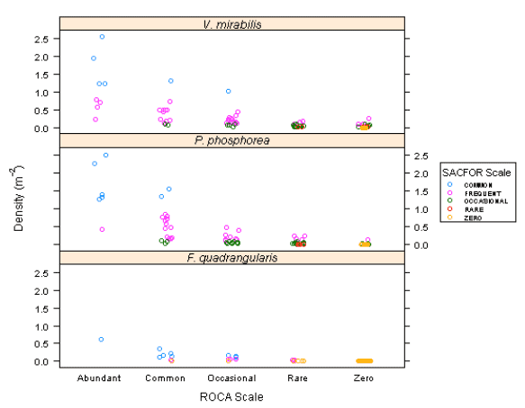 Figure 5: Comparison of ROCA and SACFOR abundance scales at 82 stations for sea pens P. phosphorea, V. mirabilis and F. quadrangularis.