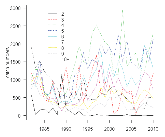 Figure 3.2.1: West of Kintyre. Total catch-at-age numbers (in thousands).