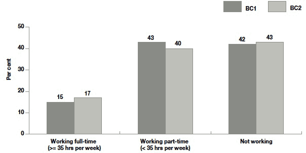 Figure 2.6 Mother's employment status at the time of the interview by cohort