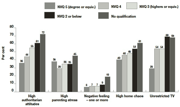 Figure 6.1 Prevalence of parental attitudes and organisation according to mother's educational level