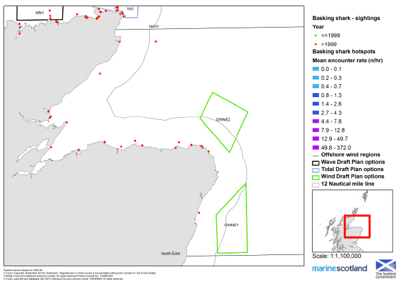 Figure B1.2.11: Basking Shark Sightings and Hotspots in the North East (Plan Option Areas)