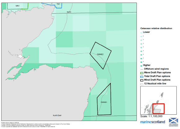 Figure B1.2.12: Cetacean Relative Distribution in the North East (Plan Option Areas)