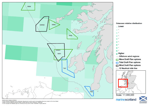 Cetacean Relative Distribution in the West (Plan Option Areas)