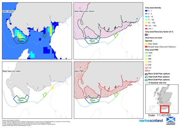Figure B1.2.55: Grey Seal At-Sea Usage in the South West (Plan Option Areas)