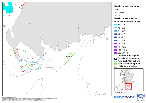 Figure B1.2.57: Basking Shark Sightings and Hotspots in the South West (Plan Option Areas)
