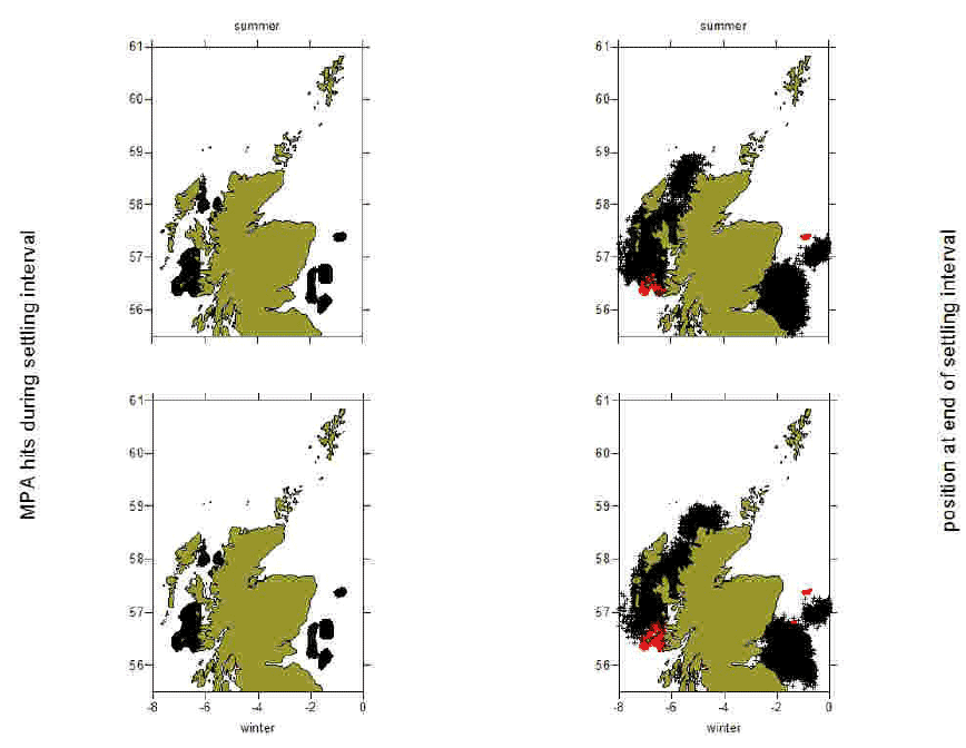 Figure 4a: Black dots show the distribution of particles at the end of the settlement window (right panels) and MPAs locations that these particles drifted over during that period (left panels) for each of the spawning periods (top: summer; bottom: winter). Red dots show the particle origin positions.